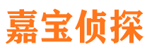 成武外遇出轨调查取证